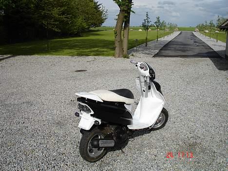 Honda sfx Kæmelion(solgt) billede 2