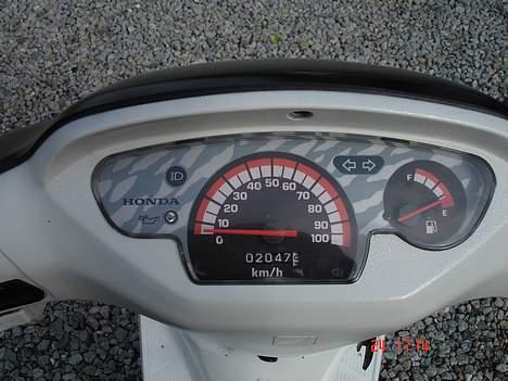 Honda sfx Kæmelion(solgt) billede 3