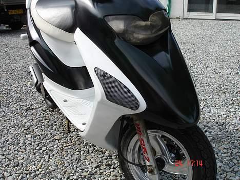 Honda sfx Kæmelion(solgt) billede 4