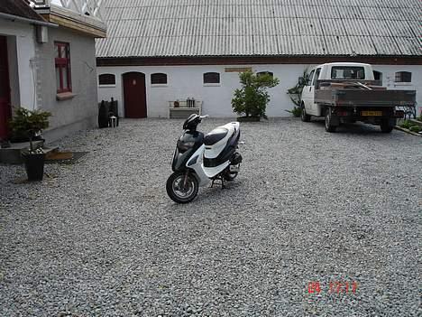 Honda sfx Kæmelion(solgt) billede 5