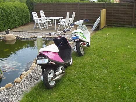 Yamaha Jog - Pinky - Solgt billede 13