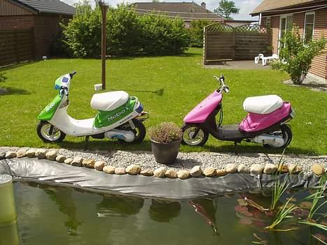 Yamaha Jog - Pinky - Solgt billede 15