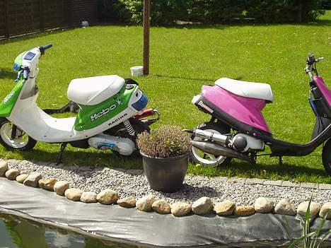 Yamaha Jog - Pinky - Solgt billede 18