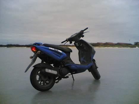 CPI hussar (Til salg / bytte) billede 9