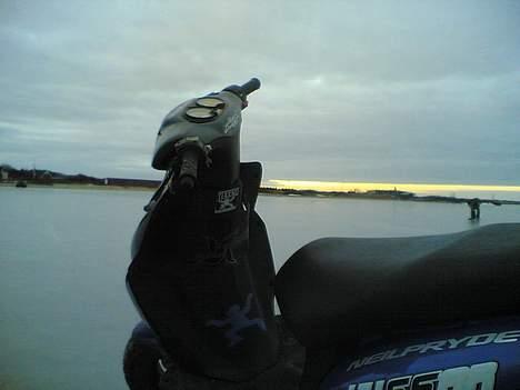 CPI hussar (Til salg / bytte) billede 12