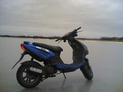 CPI hussar (Til salg / bytte) billede 14