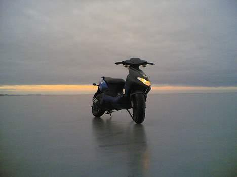 CPI hussar (Til salg / bytte) billede 15