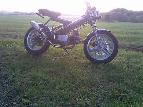 Sachs - MadAss - TNR billede 13