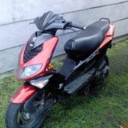 Peugeot Speedfight 2 (DøD)