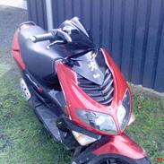 Peugeot Speedfight 2 (DøD)