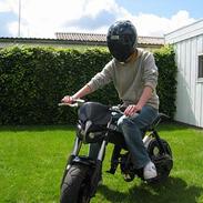 Suzuki Street Magic *SOLGT*