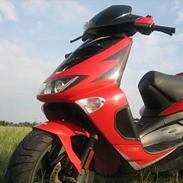 Aprilia Sr 50 Ditech [FØNIX]