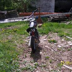 MiniBike 125 ccm Crosser