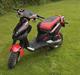 PGO PMX Sport