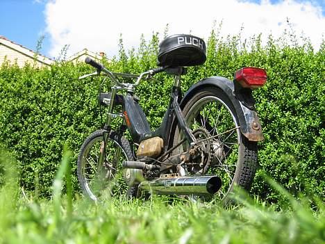 Puch Maxi K - E 50 billede 4