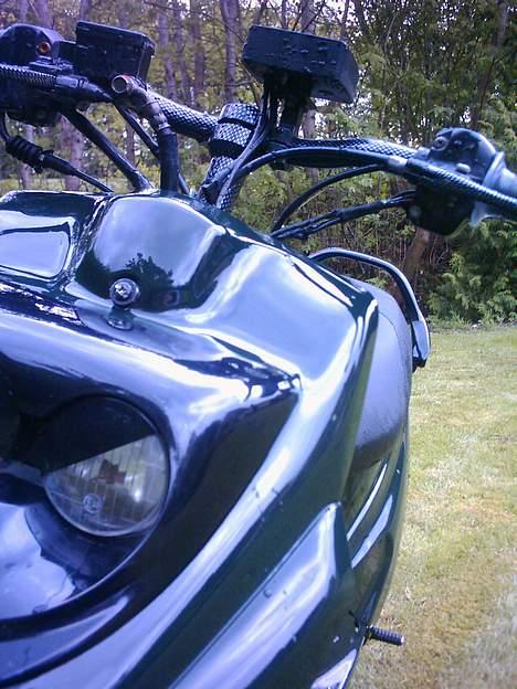 PGO Hot 50 | Munter Customs  billede 7