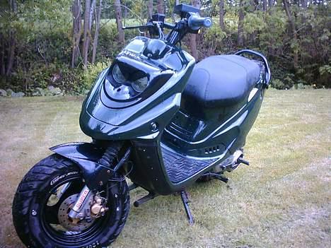 PGO Hot 50 | Munter Customs  billede 8