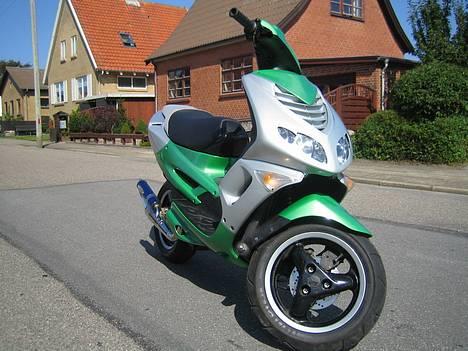 Peugeot Speedfight 2  - Før jeg fik Yasuni på...  billede 1