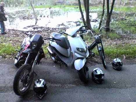 Puch k solgt billede 12