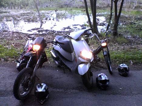 Puch k solgt billede 13