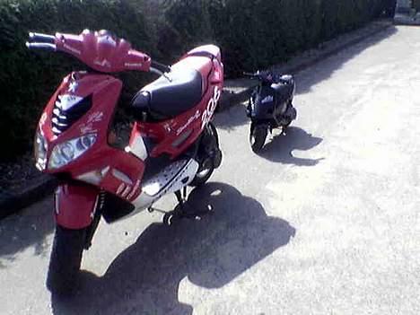 Peugeot speedfight 2 206 - min scooter og min poketbike...! billede 10