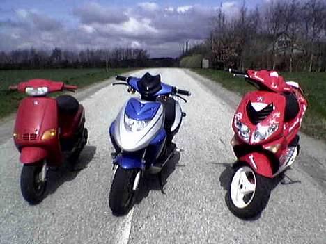 Peugeot speedfight 2 206 - Mig og mine venner påvej til silkeborg...! he he...! fed tur...! billede 12