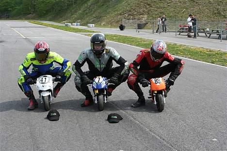 Blata WRS Special Edition EM billede 7