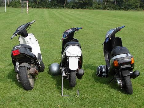 Piaggio Zip - Nej , hvor er i bare lækre . MmMmMm billede 14