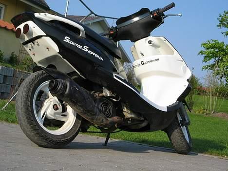 PGO Dr.Big tilsalg i dele billede 3