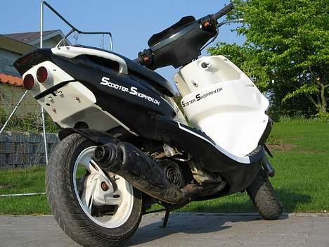 PGO Dr.Big tilsalg i dele billede 4