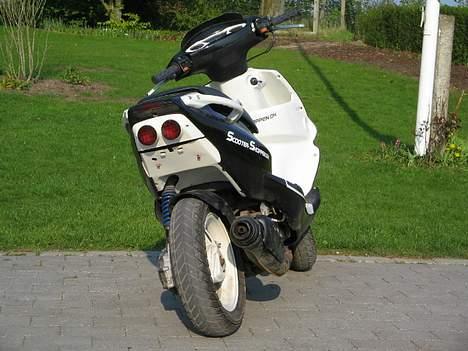 PGO Dr.Big tilsalg i dele billede 5