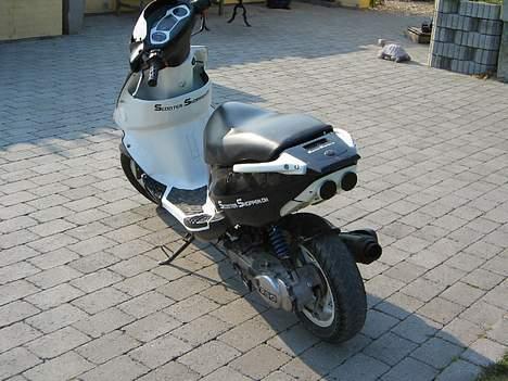 PGO Dr.Big tilsalg i dele billede 7