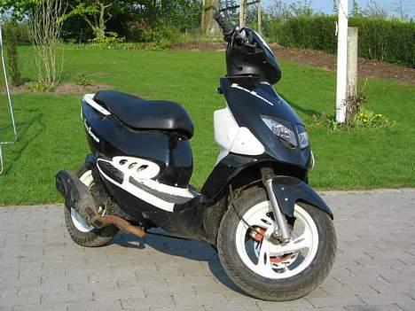 PGO Dr.Big tilsalg i dele billede 9