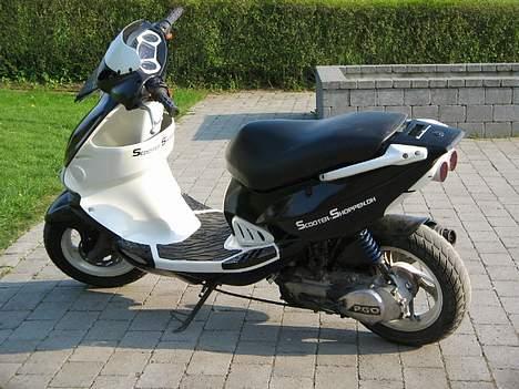 PGO Dr.Big tilsalg i dele billede 10