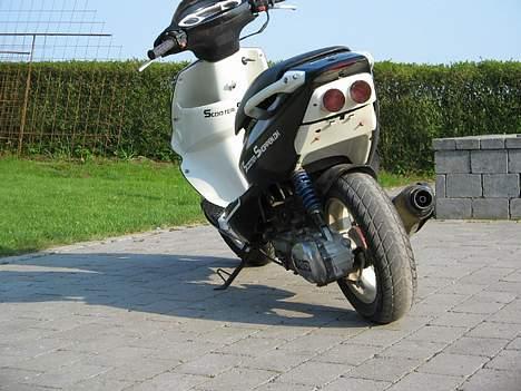 PGO Dr.Big tilsalg i dele billede 12