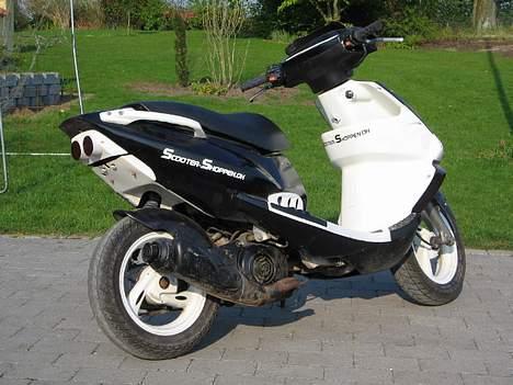 PGO Dr.Big tilsalg i dele billede 13