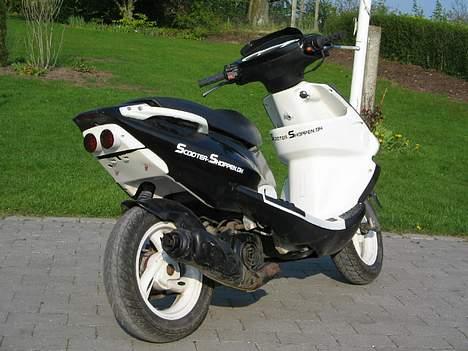 PGO Dr.Big tilsalg i dele billede 14