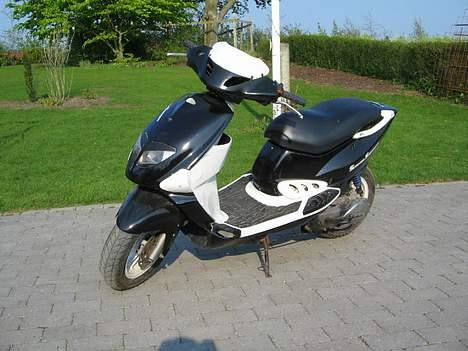 PGO Dr.Big tilsalg i dele billede 15