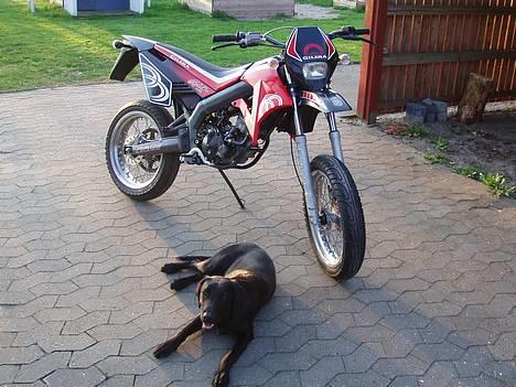 Gilera SMT Motard  billede 11