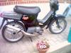 Honda Wallaroo