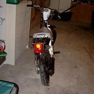 Suzuki fz50
