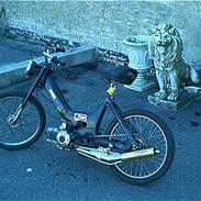 Puch maxi k (SOLGT)