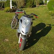 Aprilia sonic