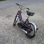 Puch maxi-harlequin