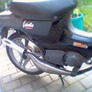 Honda Wallaroo