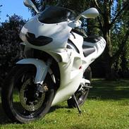 Aprilia RS50 *SOLGT*