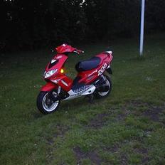 Peugeot SpeedFight 2 WRC Racing