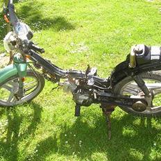 Honda Wallaroo (SOLGT)