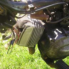 Honda Wallaroo (SOLGT)