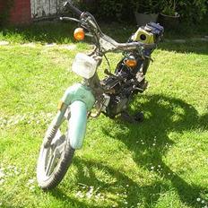 Honda Wallaroo (SOLGT)